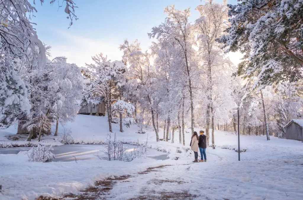 Winter in the Park at Romsdal Museum