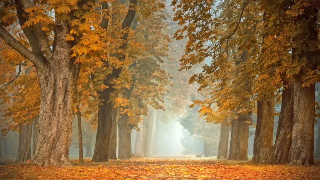 Sweden fall colors