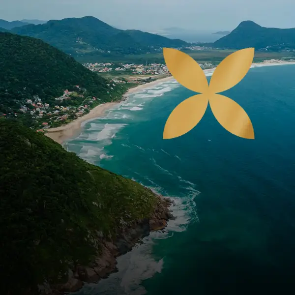 SilverOpus - Destination Brasil