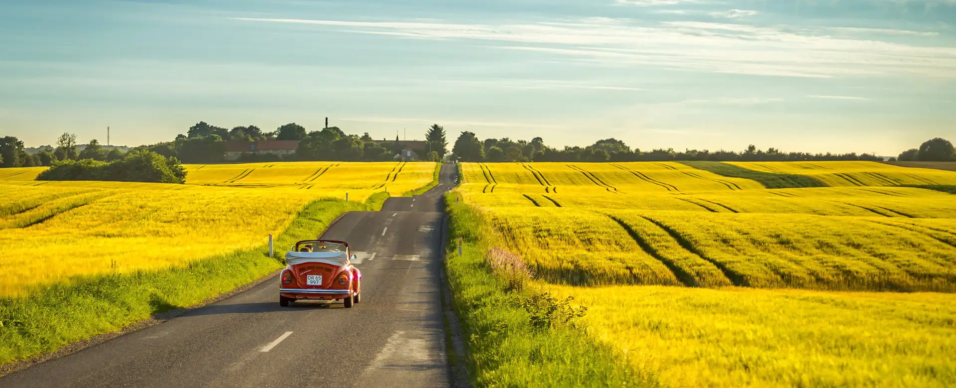 SilverOpus Group Experience