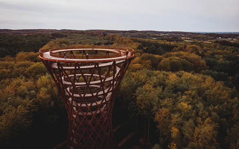 SilverOpus Forest Tower