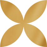 SilverOpus Destination Brazil Icon
