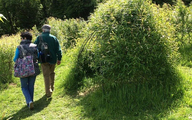 SilverOpus Destination UK Wales - Adults in willow maze