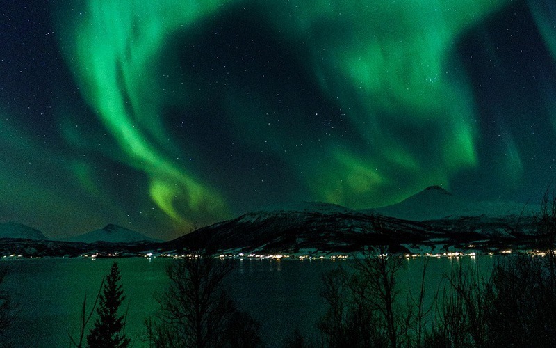SilverOpus travel tours Norway Northern Lights Safari